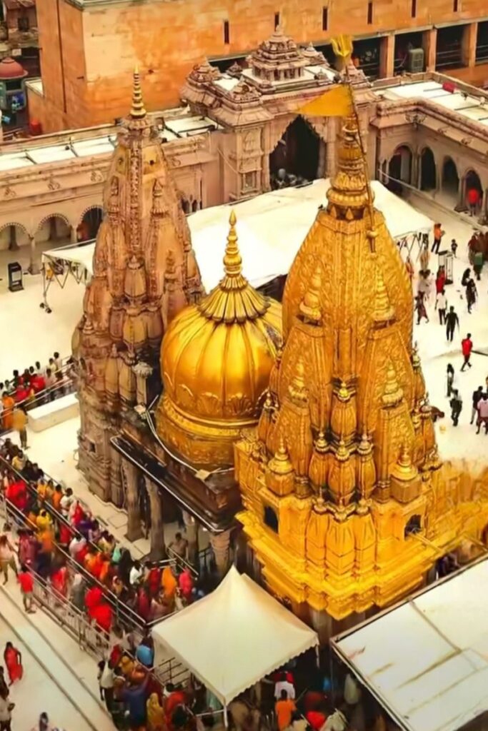 untitled design (61)