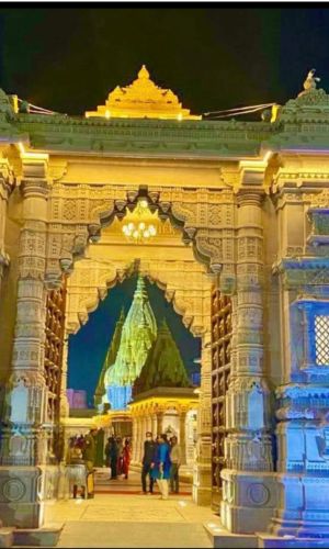 untitled design (66)