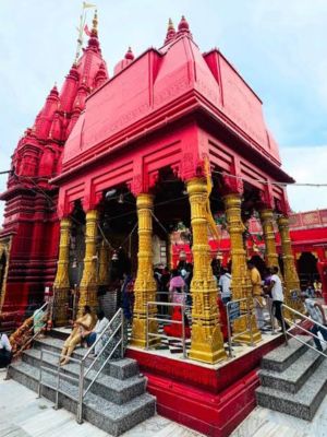 untitled design (69)